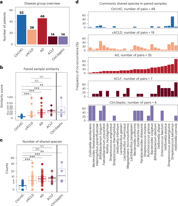 Microbial collagenase activity is linked to oral–gut translocation in advanced chronic liver disease