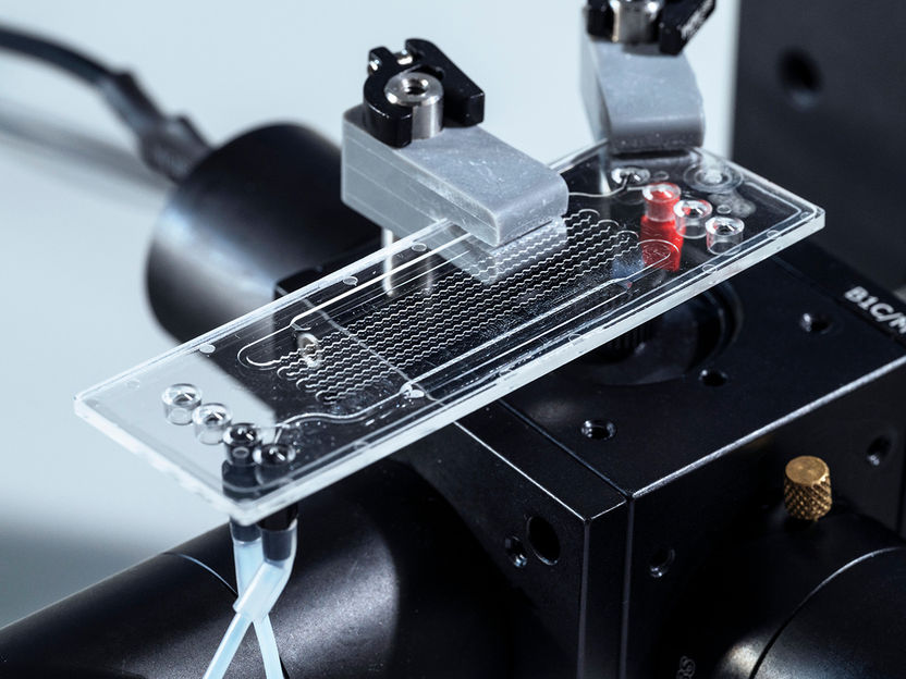 BAM develops sensor system for rapid on-site analysis