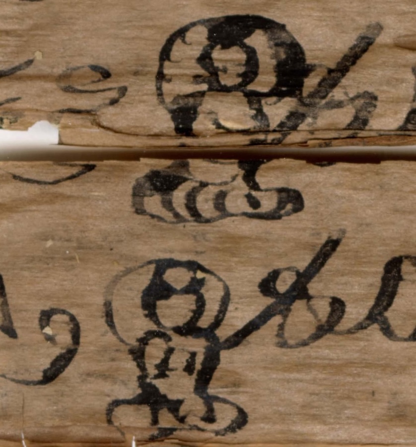 Buddhist Heritage: Khyentse Foundation to Extend Support for Conservation of Gandhari Scrolls at Islamabad Museum