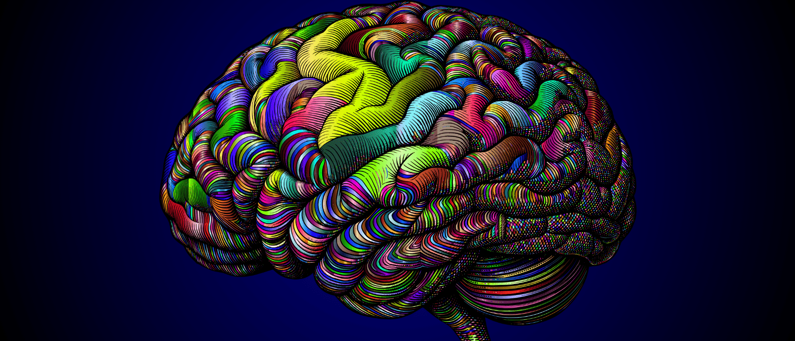 Mapping Tissue Fibers in Histology Specimens