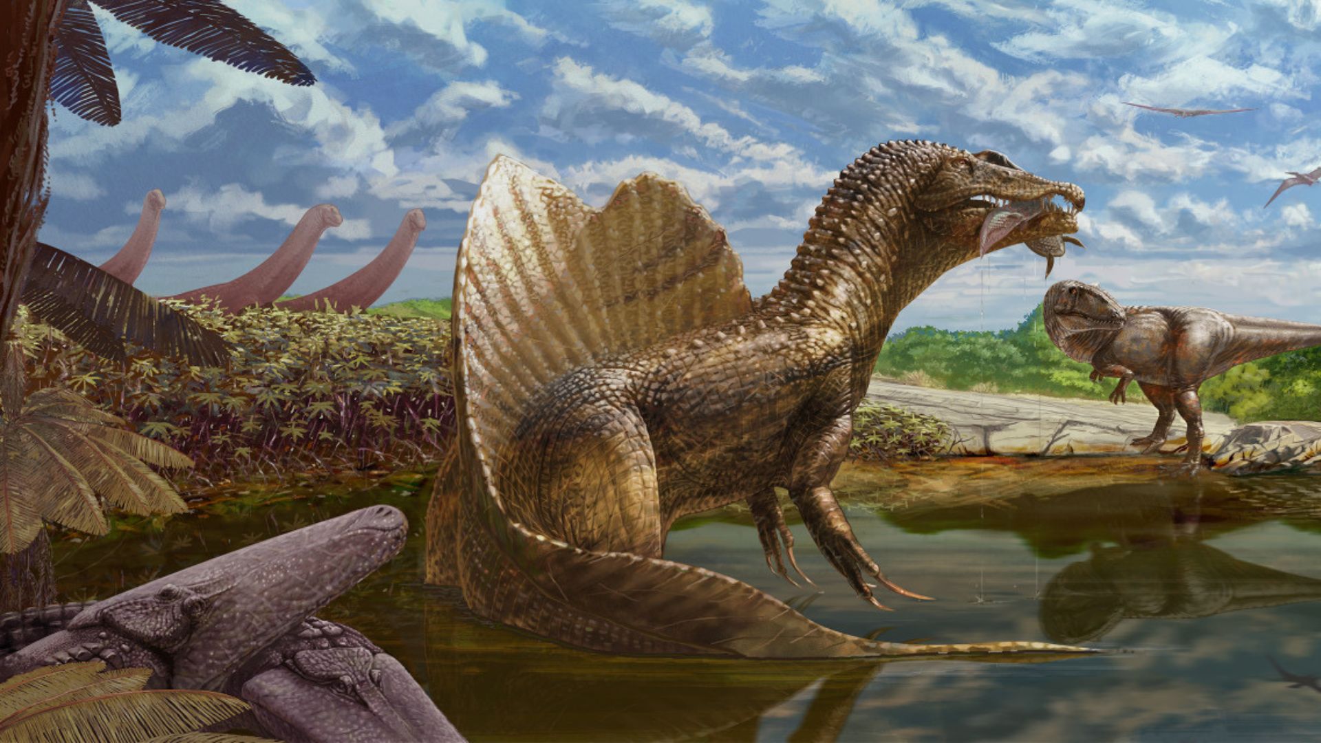 Spinosaurid fossil reveals 25 foot fish eating dinosaur in Thailand
