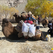 Latest Food Security Report confirms fears of deepening Hunger Crisis in Afghanistan as Winter sets in