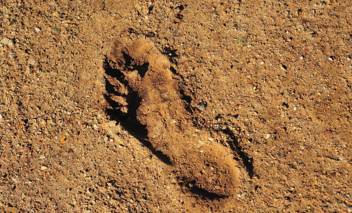 Scientists Just Discovered the Oldest Human Footprint Ever Found, Hidden in Chilean Mud