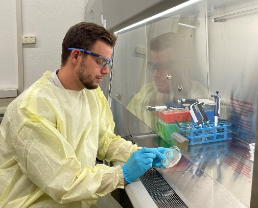 Researchers use robotics to find potential new antibiotic among hundreds of metal complexes