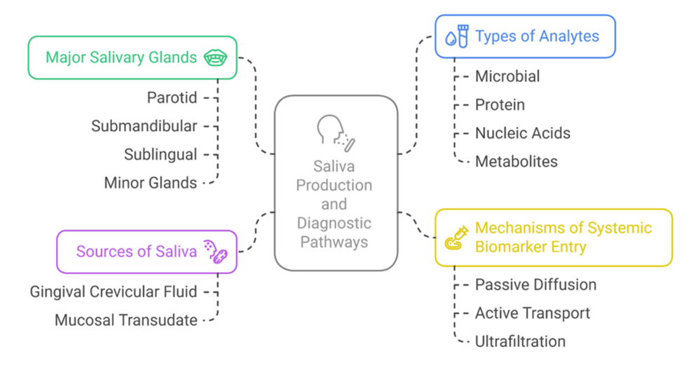 The Role of Salivary Diagnostics in Early Detection of Systemic and Oral Diseases: A Comprehensive Review