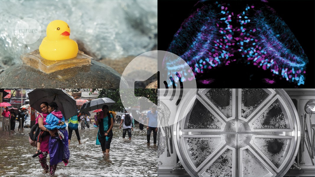 Nature’s News & Views roundup of 2025