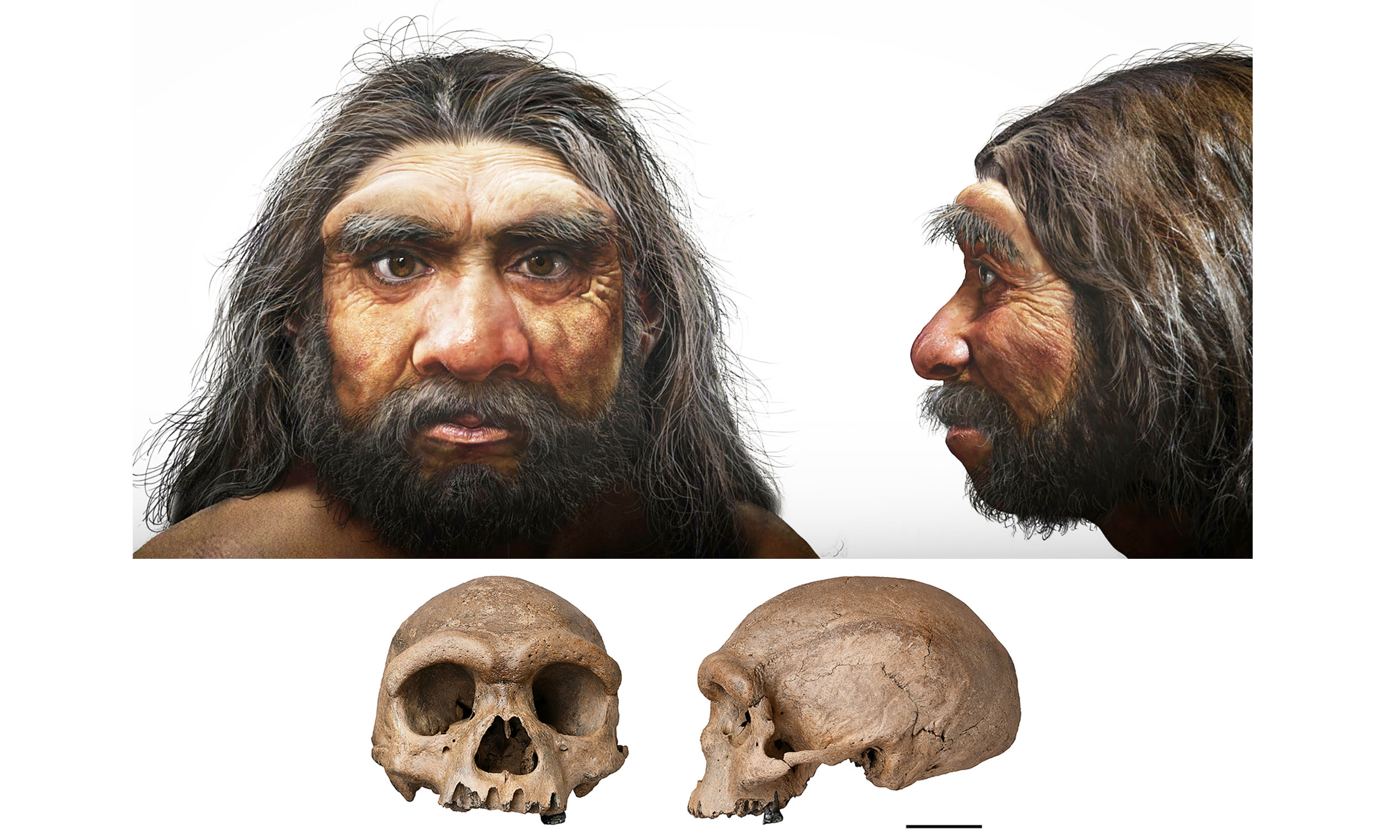Scientists learn what these human ancestors actually looked like