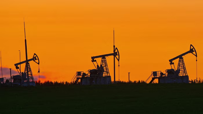 Former Tory donor hit with UK sanctions over alleged Russian energy role