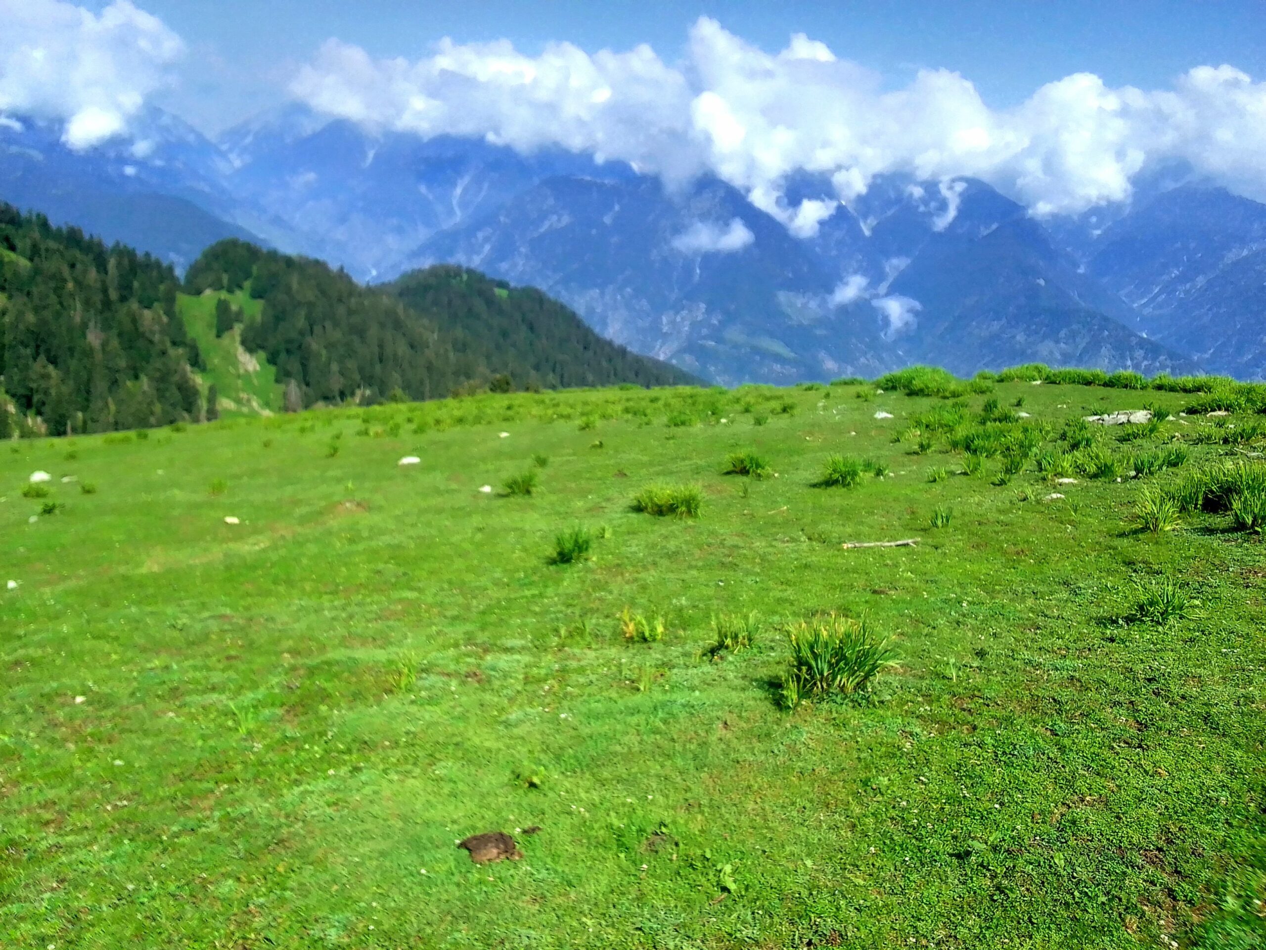 The Wildness of Darolai