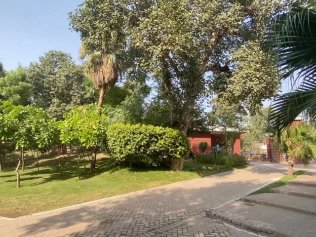 LHC orders inquiry into tree-cutting at Nasir Bagh