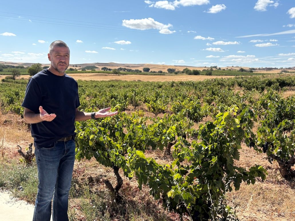 The Buyer | Spain’s dynamic wineries: tradition and avant-garde innovation