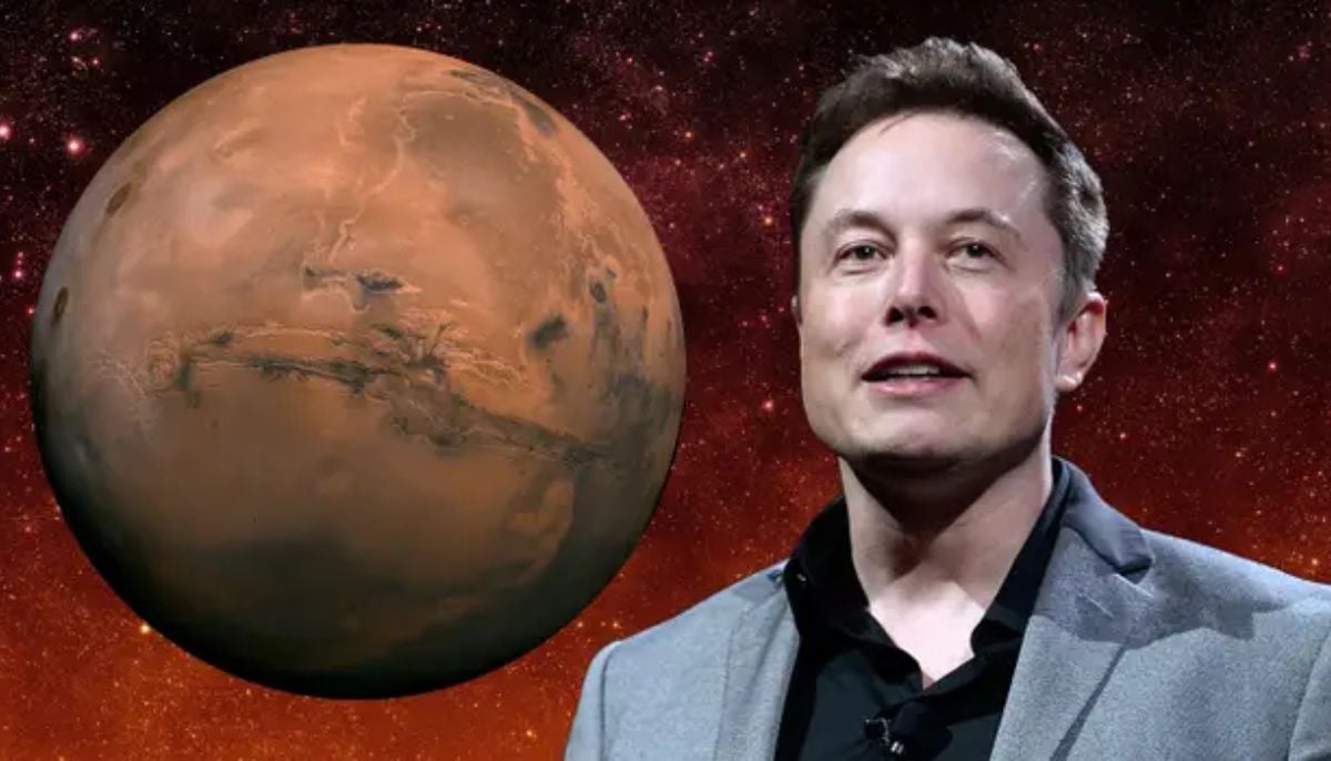 Elon Musk unveils plans to take humanity to the Moon and Mars