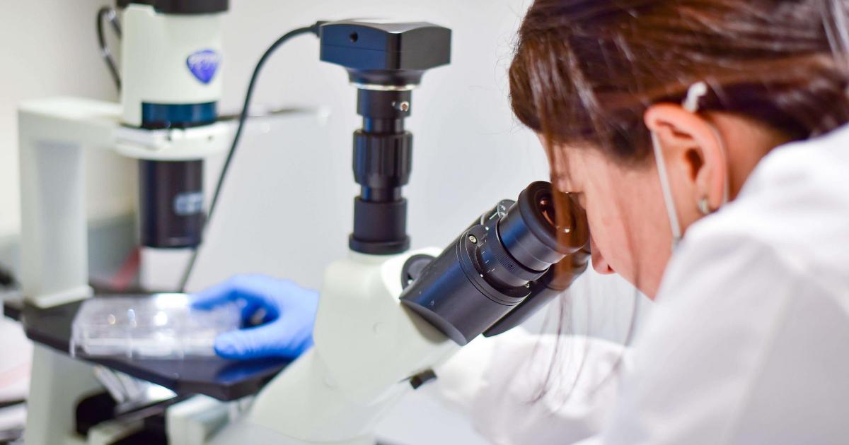 Researchers discover new treatments for liver and bowel cancer