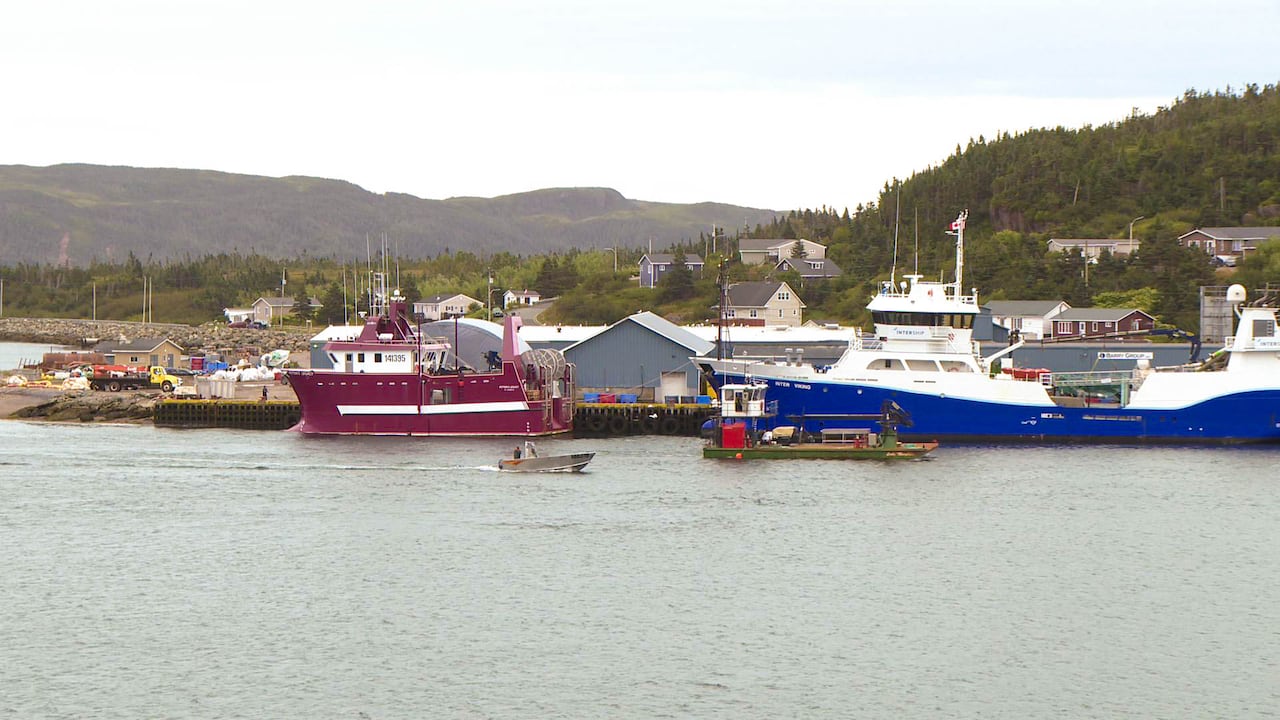 Boats are seen ini front of a large blue building