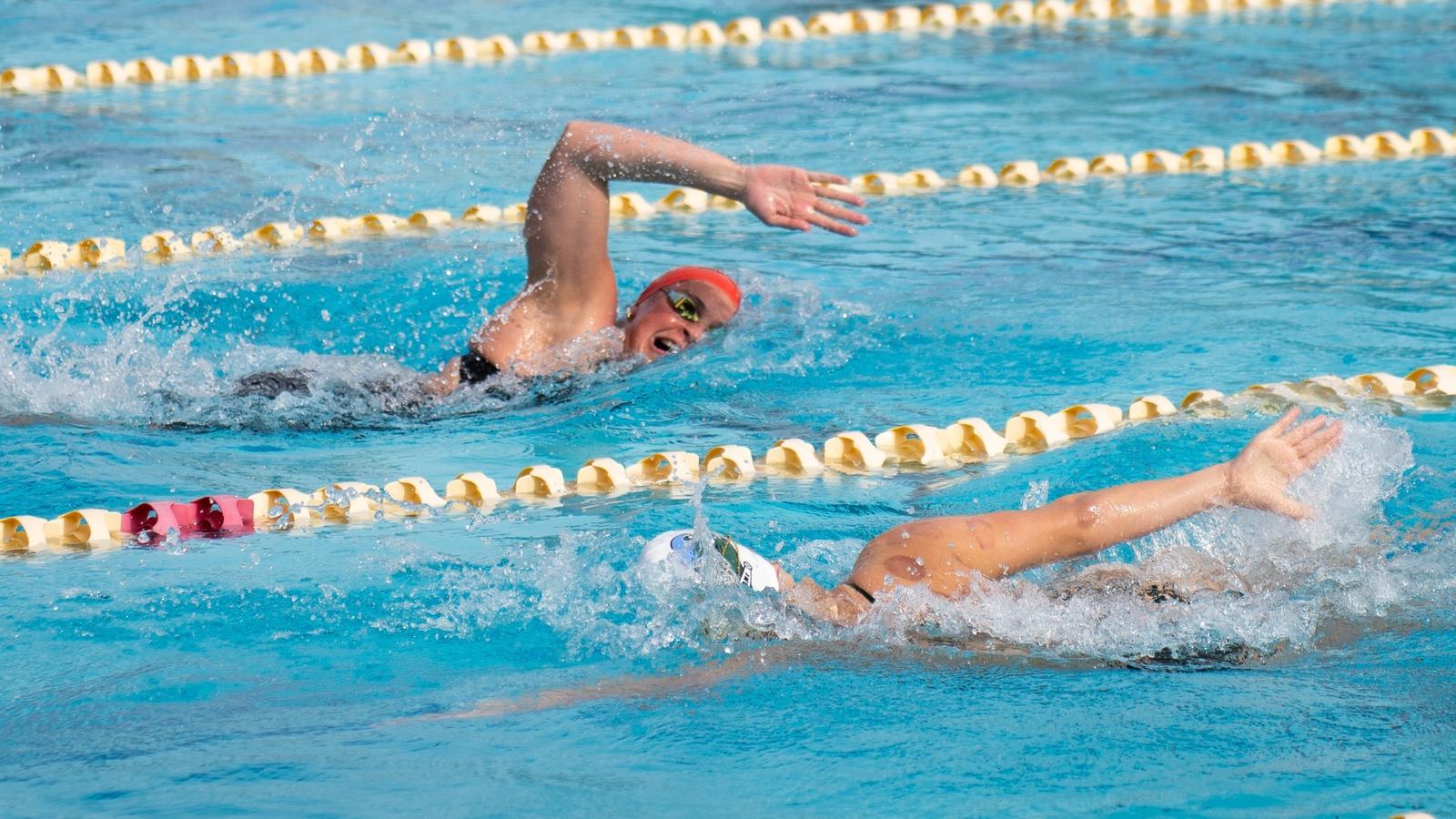 Badgers defeat UCLA, UCSD, Tulane
