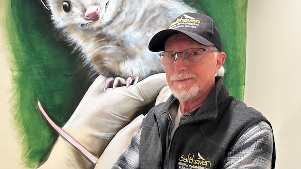 ‘Half a dozen calls a day’ for wild animals with distemper as London sees spike