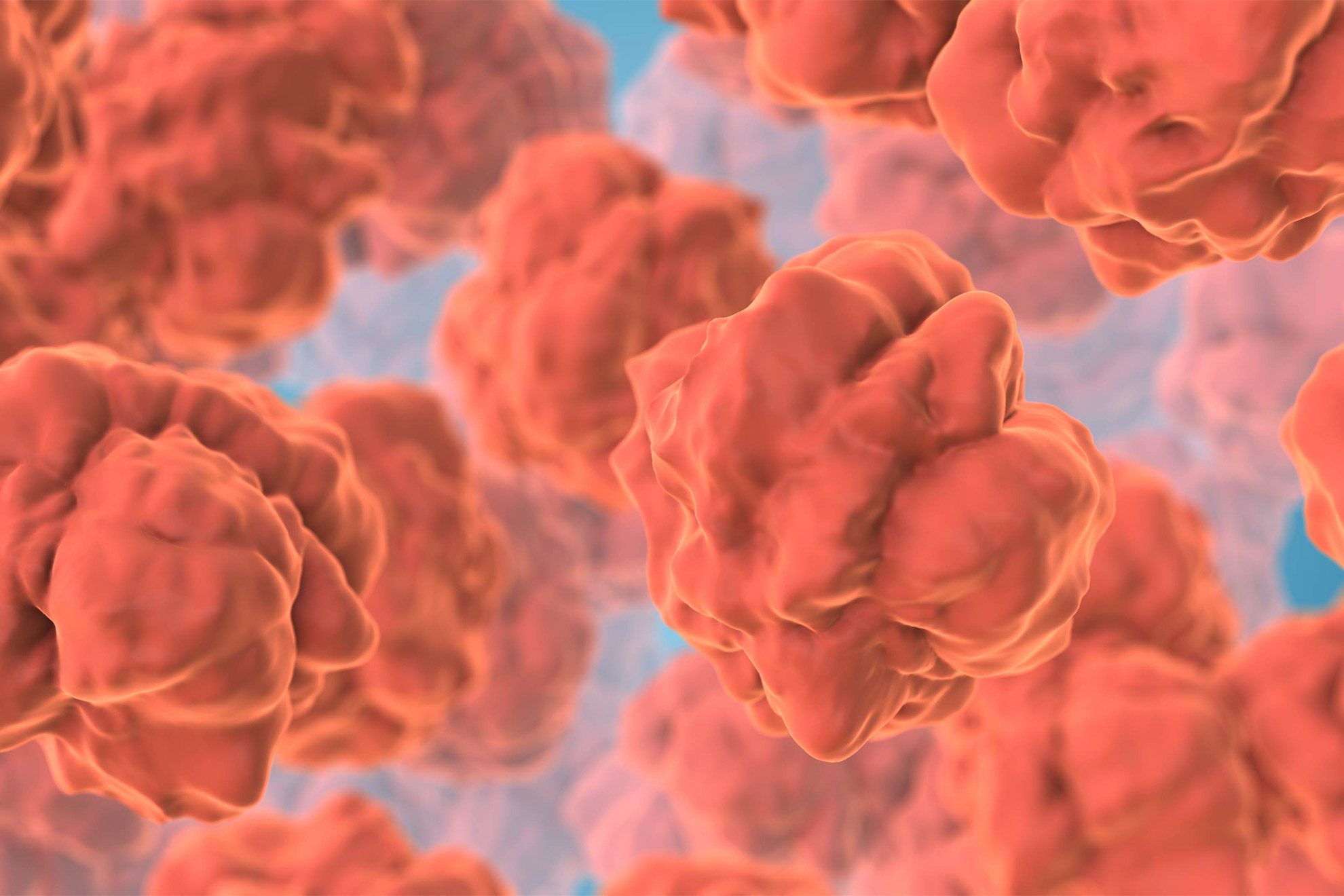 Binge drinking triggers gut damage, finds new study — Harvard Gazette