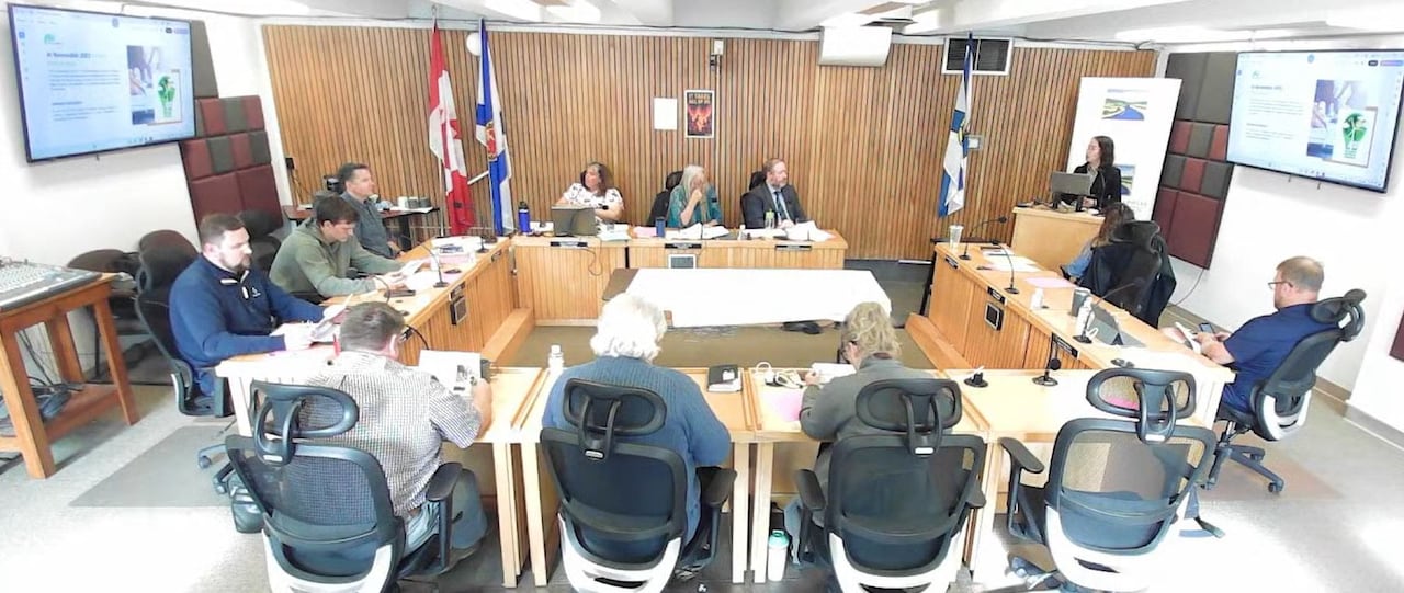 A screenshot of livestream of the meeting. 