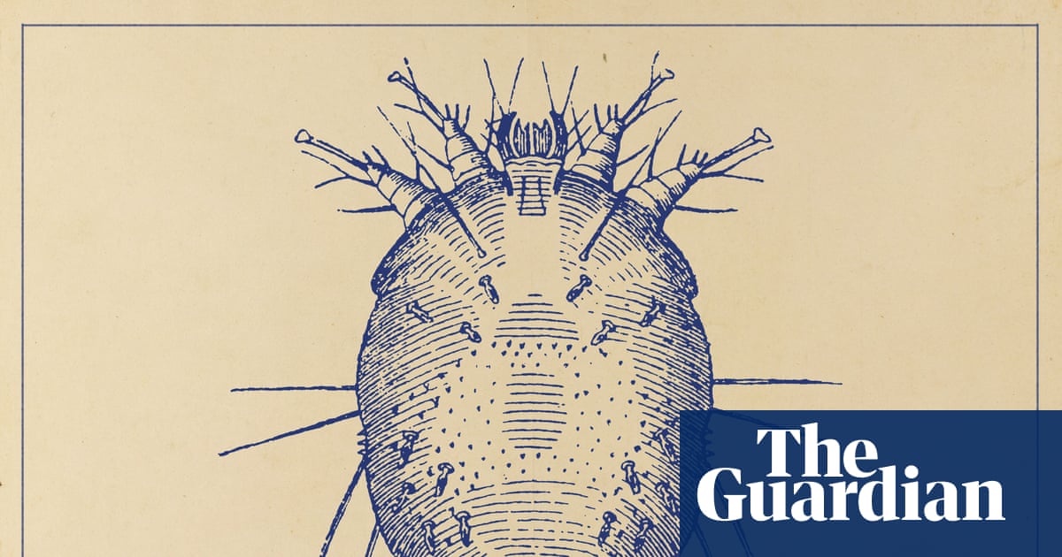 The sudden rise of scabies: ‘I wouldn’t wish it on my worst enemy’ | Infectious diseases