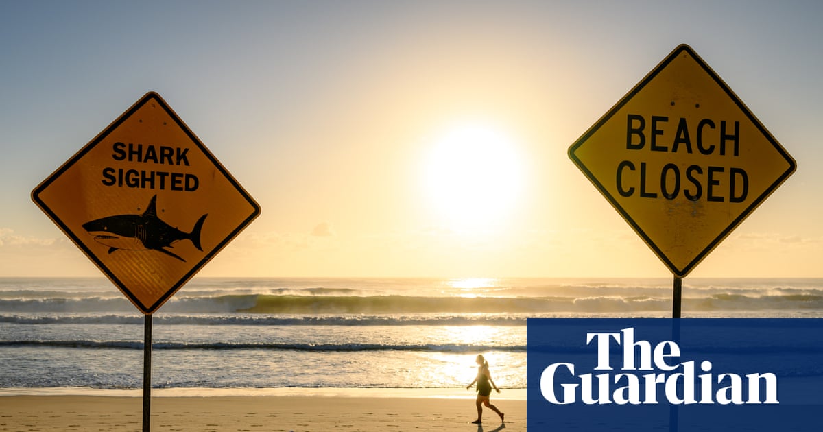 Could Sydney’s creaking sewerage system be linked to the spate of shark attacks? | New South Wales