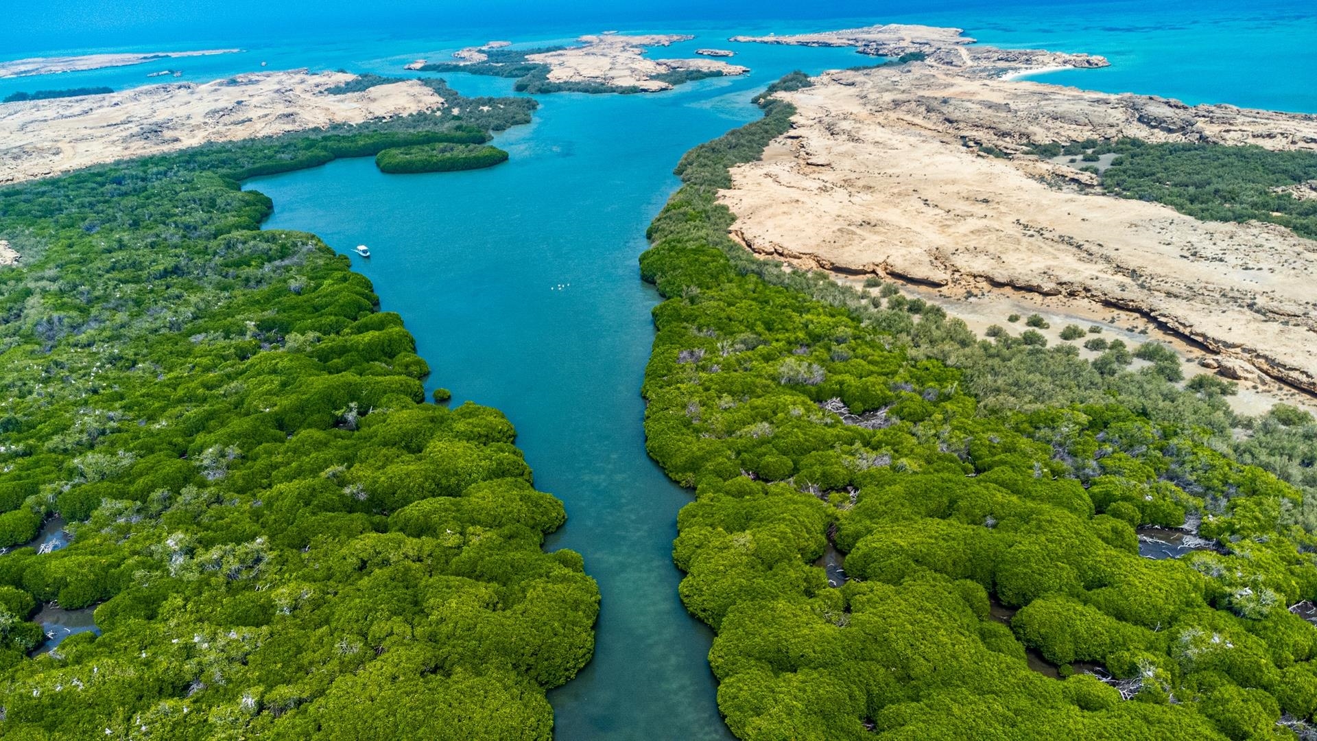 An overview of Saudi Arabia’s New Requirements and Conditions for Red Sea Beach Operators (including : Clyde & Co