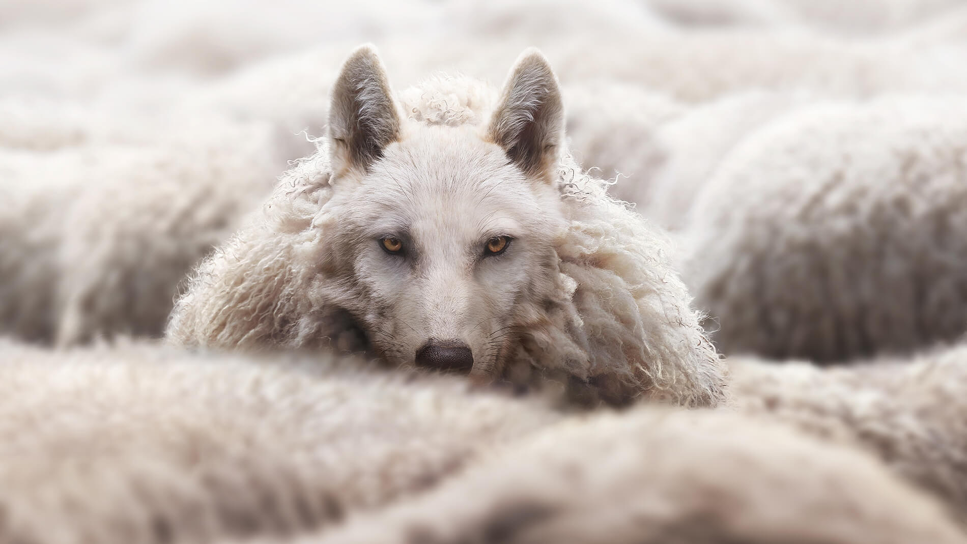 The New Threats: Attackers Don’t Just Break In, They Blend In