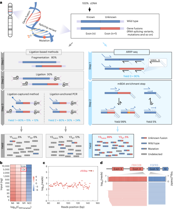 Anchored random reverse primer sequencing for quantitative detection of novel gene fusions
