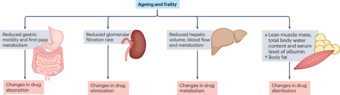 Optimizing cardiovascular pharmacotherapy in older adults with frailty