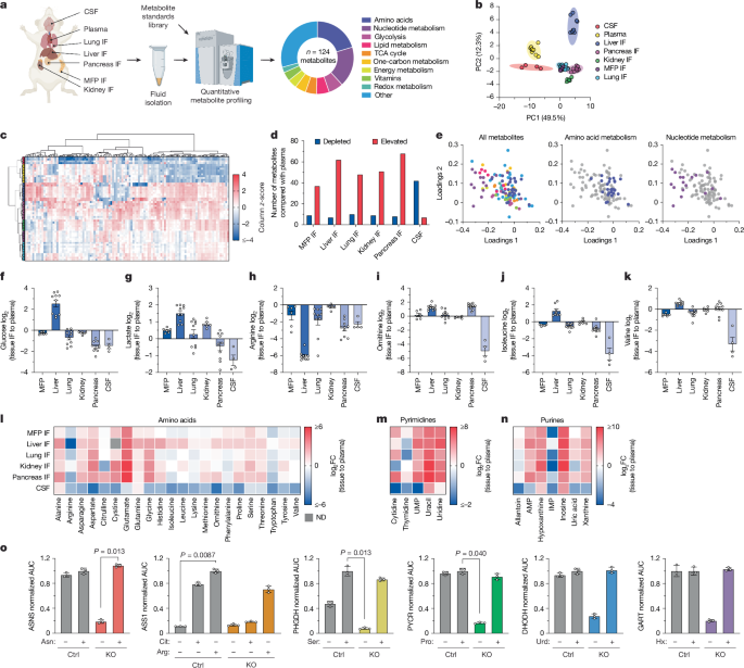 Nutrient requirements of organ-specific metastasis in breast cancer