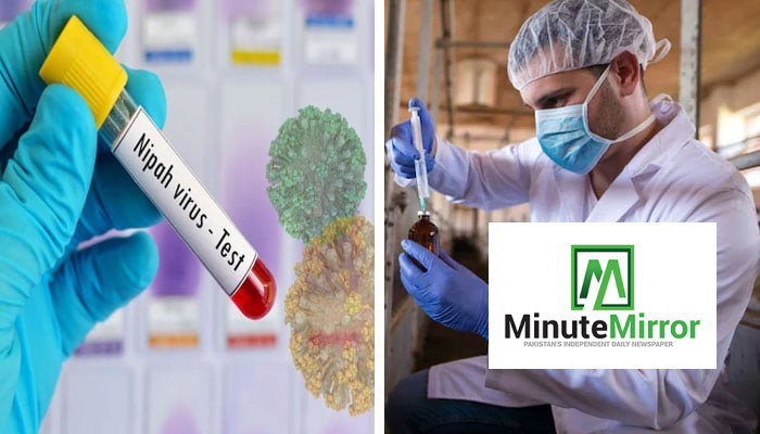 Nipah virus outbreak in Malaysia traced from bats to pigs to humans