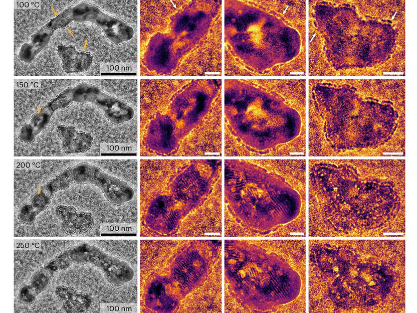 Catalyst selectivity as a “balancing act”