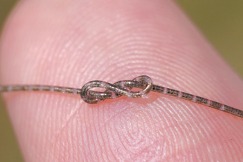 ‘Fiber chip’ could be a boon for healthcare