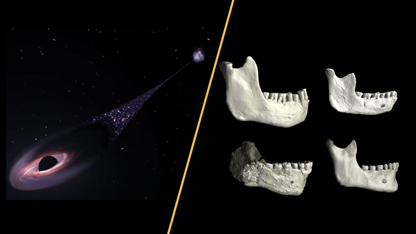 Science news this week: A runaway black hole, a human ancestor discovered in Casablanca cave, and vaccine schedule slashed