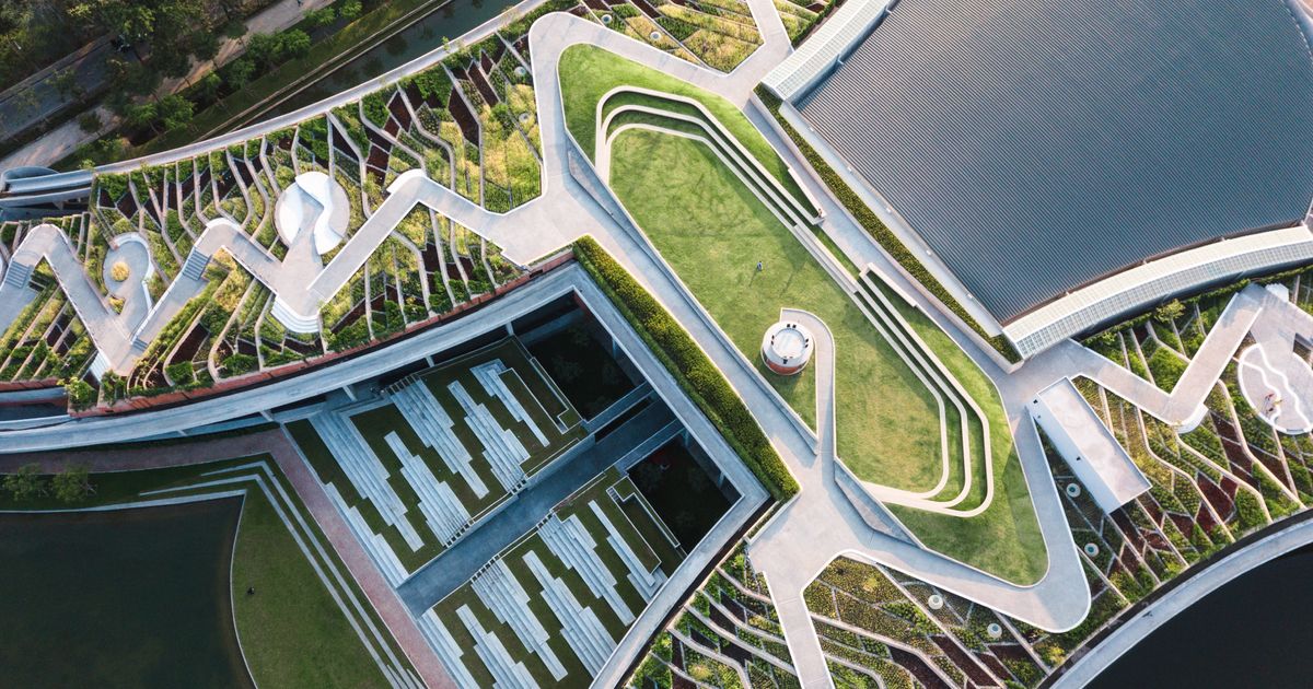 Hammer Museum presents In Focus: Transformation – Announcements