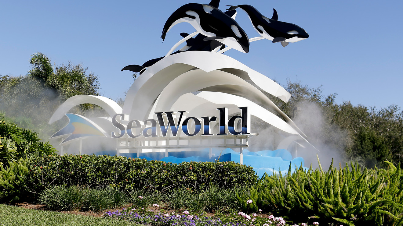 SeaWorld Orlando is giving away free beer all month long