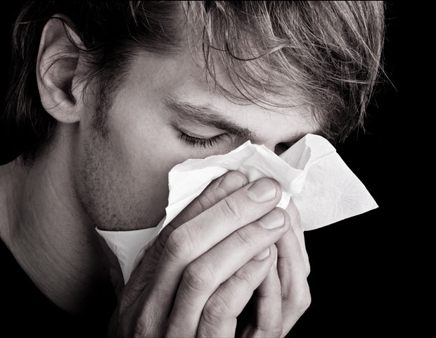 Interferon response key to fighting rhinovirus infections in nasal passages