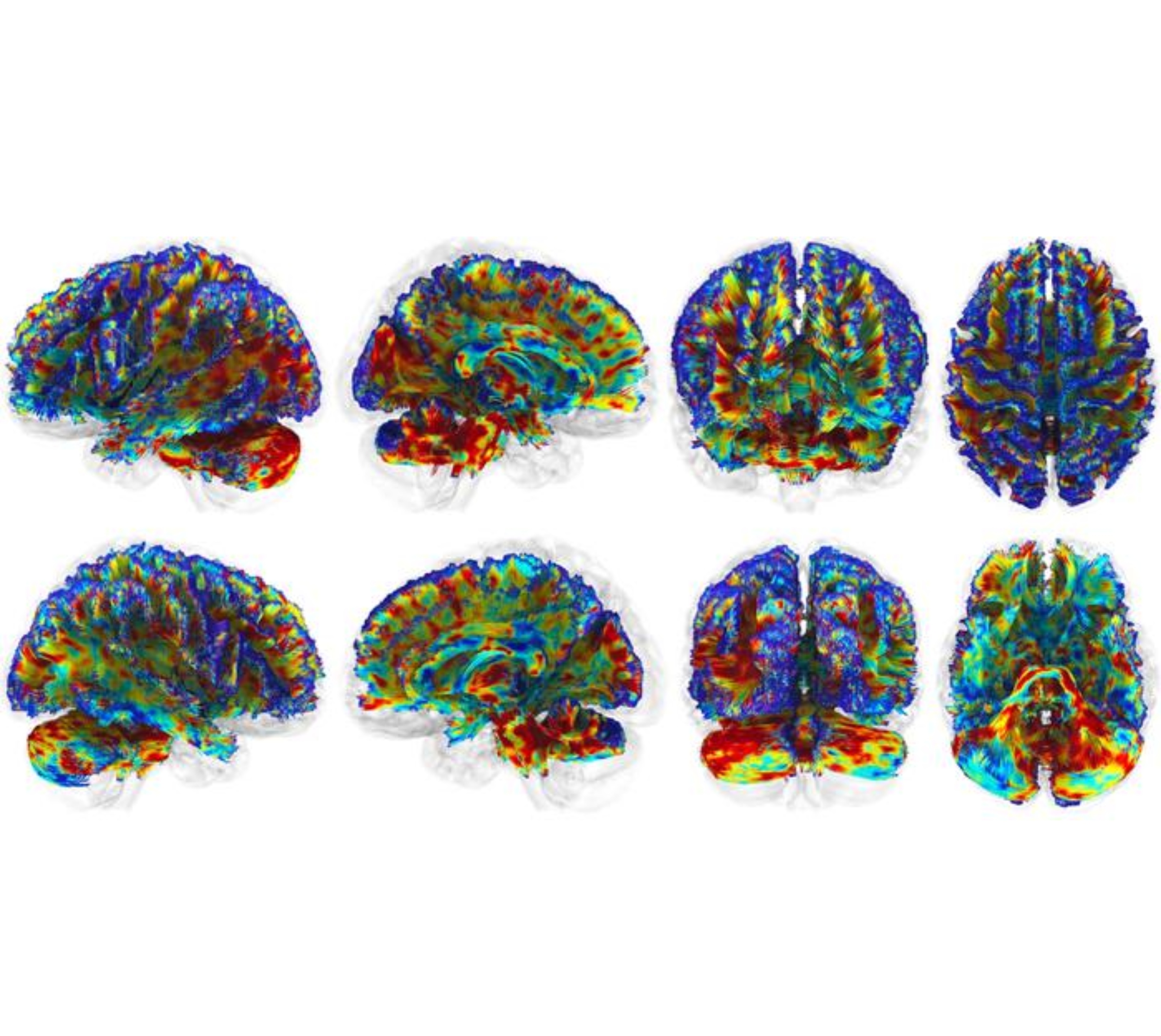 Red light therapy may protect brains from repeated head impacts
