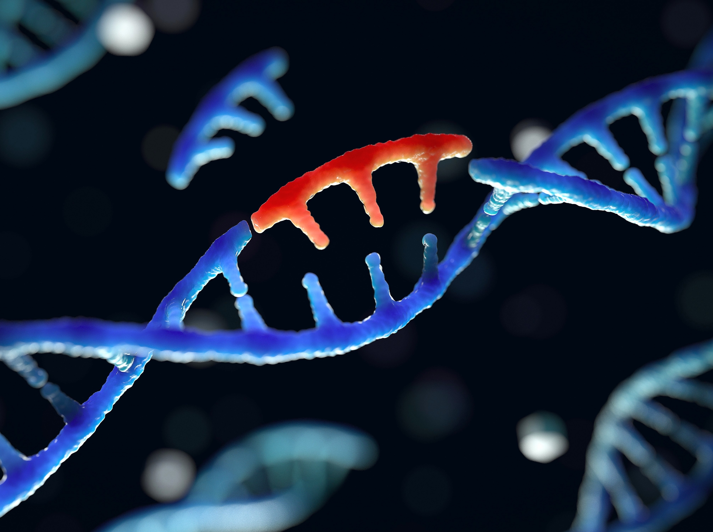 Caffeine could give scientists precise control over gene editing