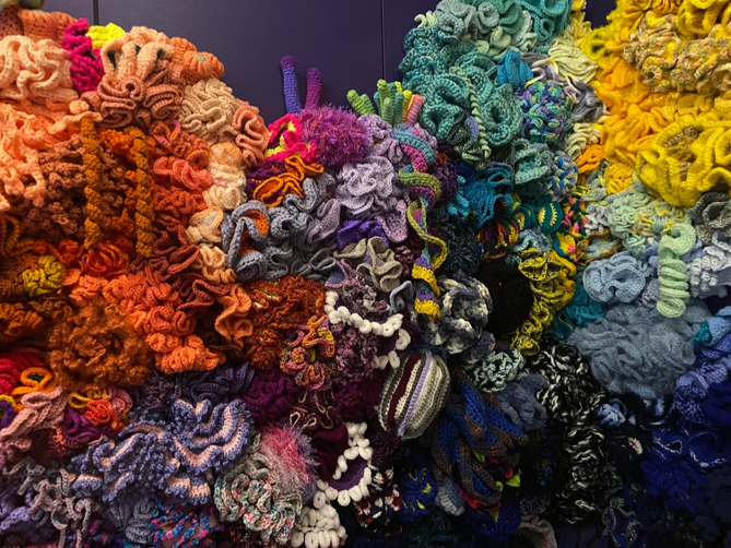 Crochet Coral Reef Project | St Mary’s Anglican Girls’ School