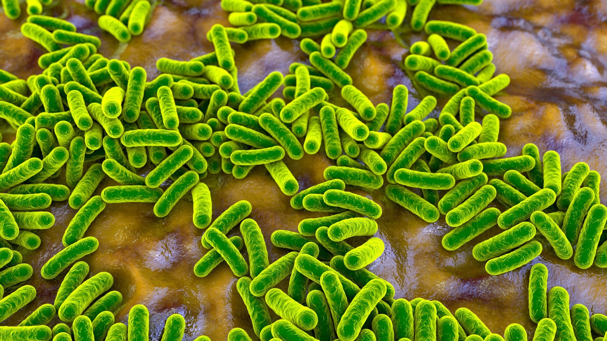 How modern lifestyles reprogram the gut microbiome and shape disease risk
