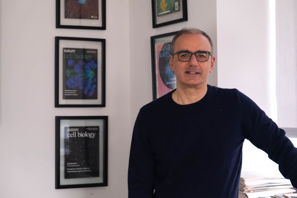 The Rockefeller University » Scientists have gotten good at blocking enzymes to treat disease. Here’s what they need to learn next.