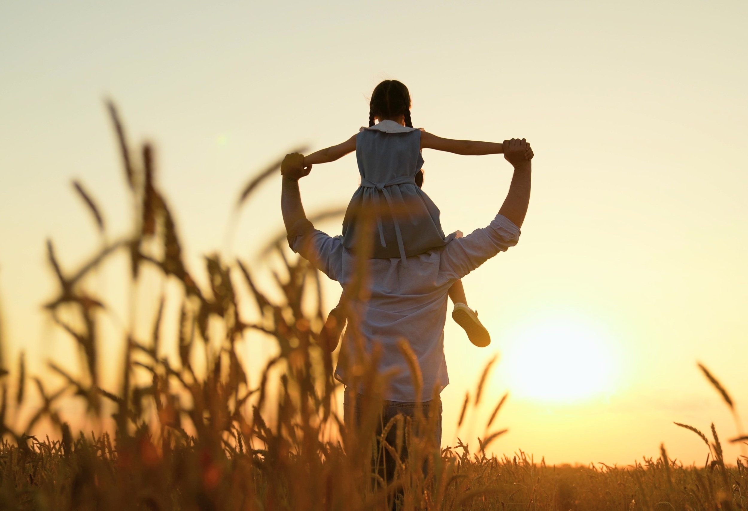 How the brain remembers what a memory feels like