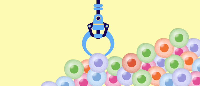 Multi-Material Microrobot Grabs And Releases Cells