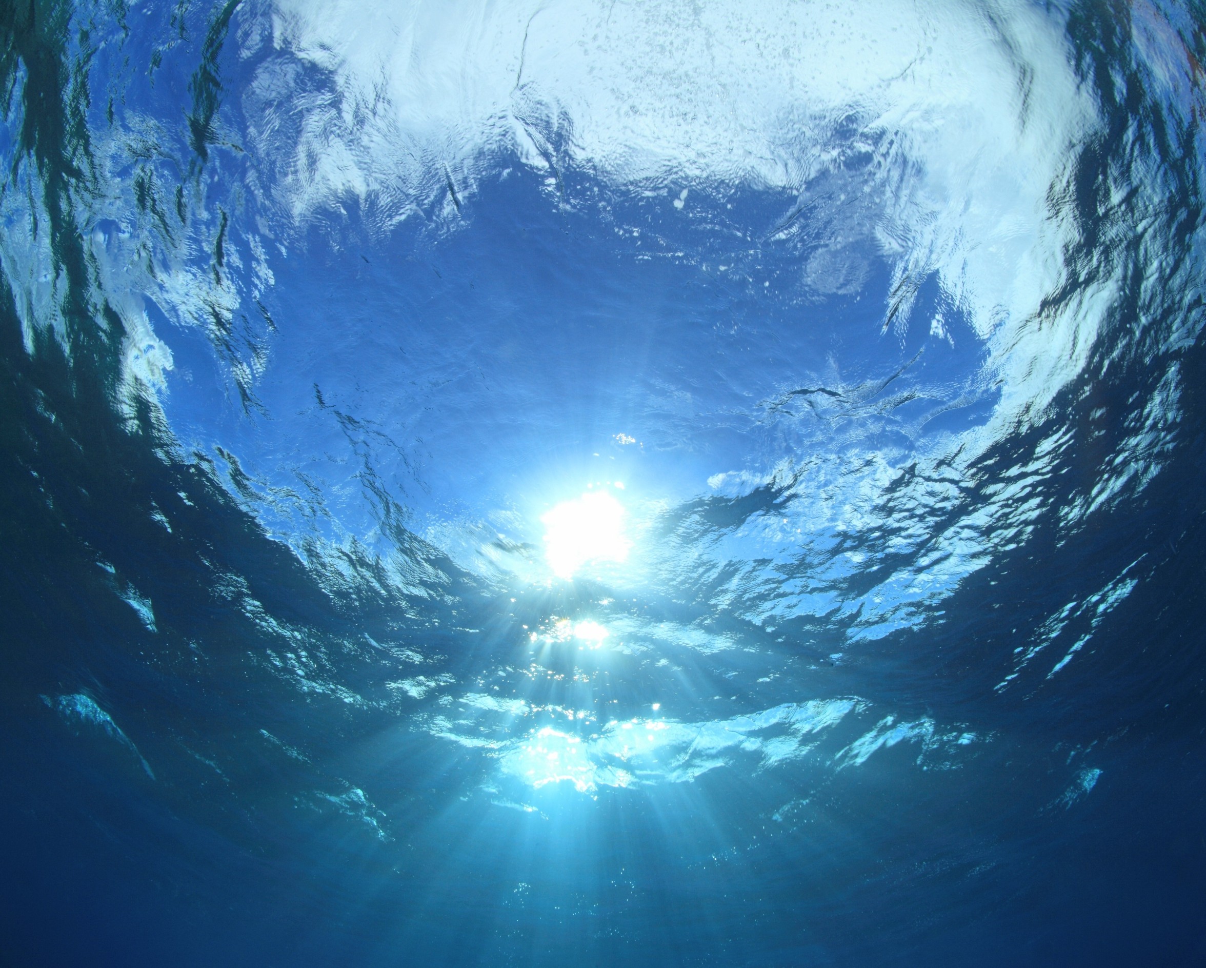 Viruses build a hidden oxygen layer beneath the ocean surface