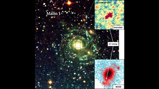 Malin 1’s secret diet: Giant galaxy found quietly cannibalising smaller neighbours