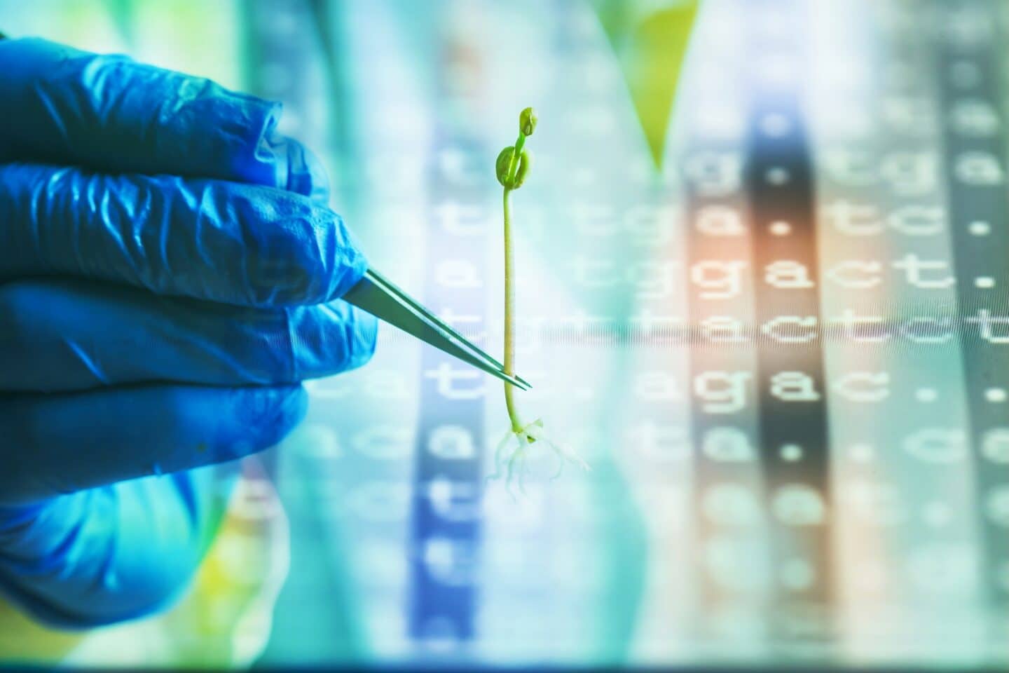 Why Changing Plant Genes Is Still Slow and How Scientists Are Speeding It Up