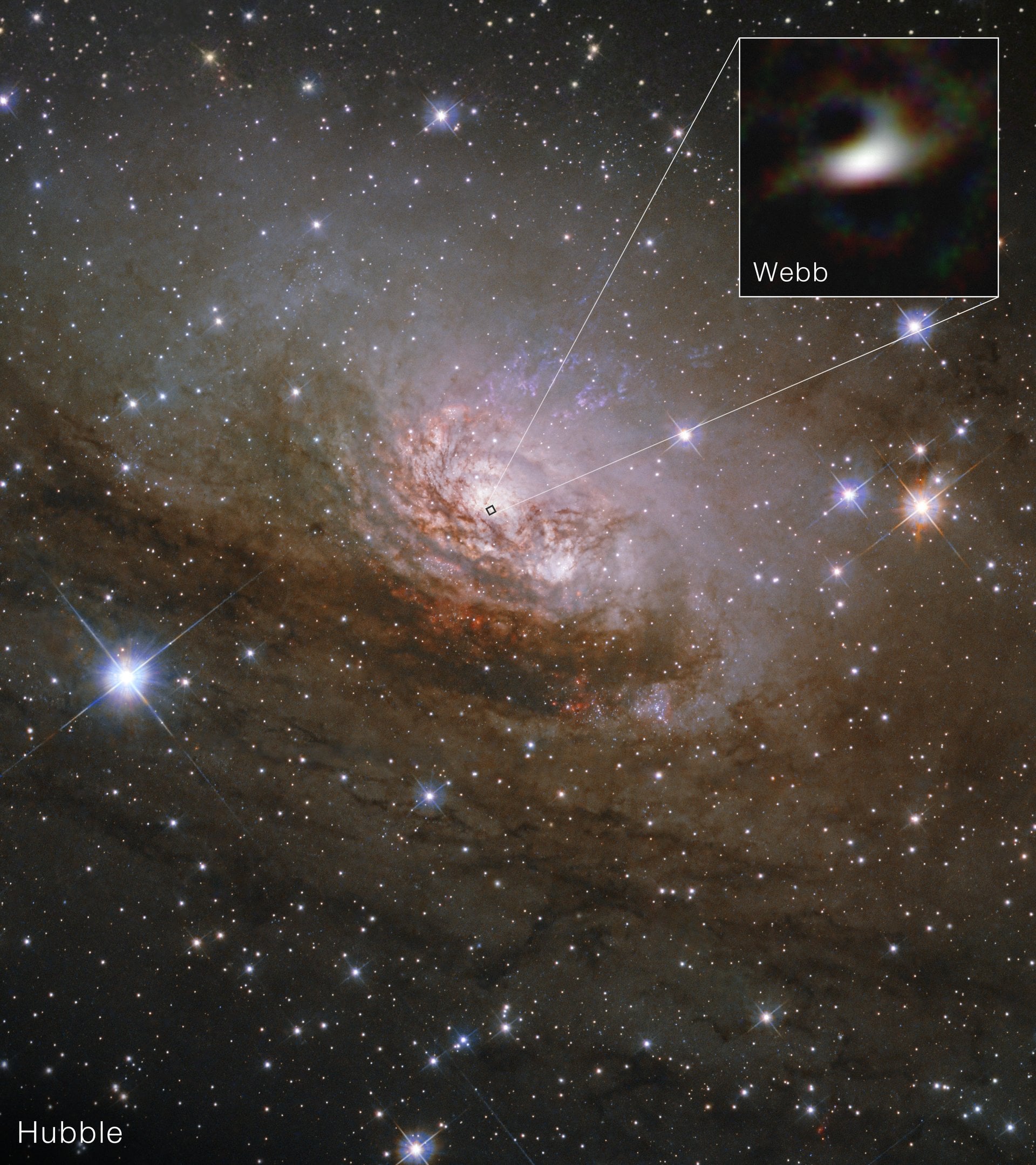 NASA’s Webb Telescope Peers Into the Heart of the Circinus Galaxy