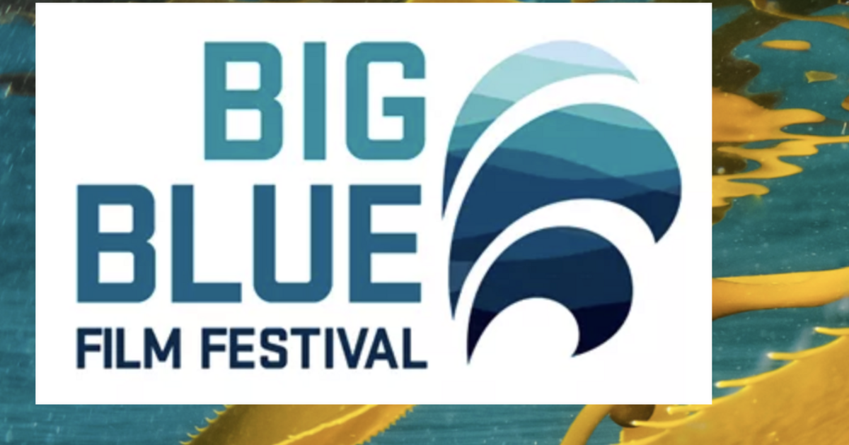Big Blue Film Festival coming to Newport | OSU Today