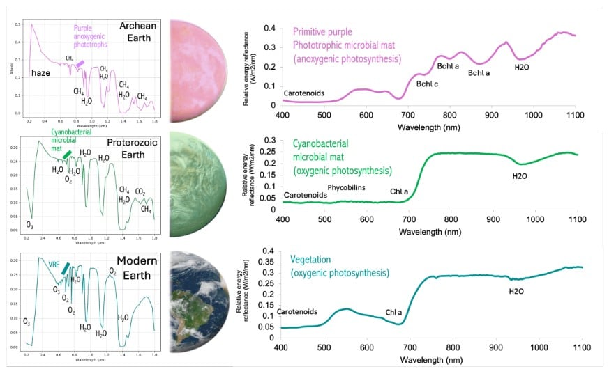Searching for 'Green Oceans' and 'Purple Earths' – Universe Today