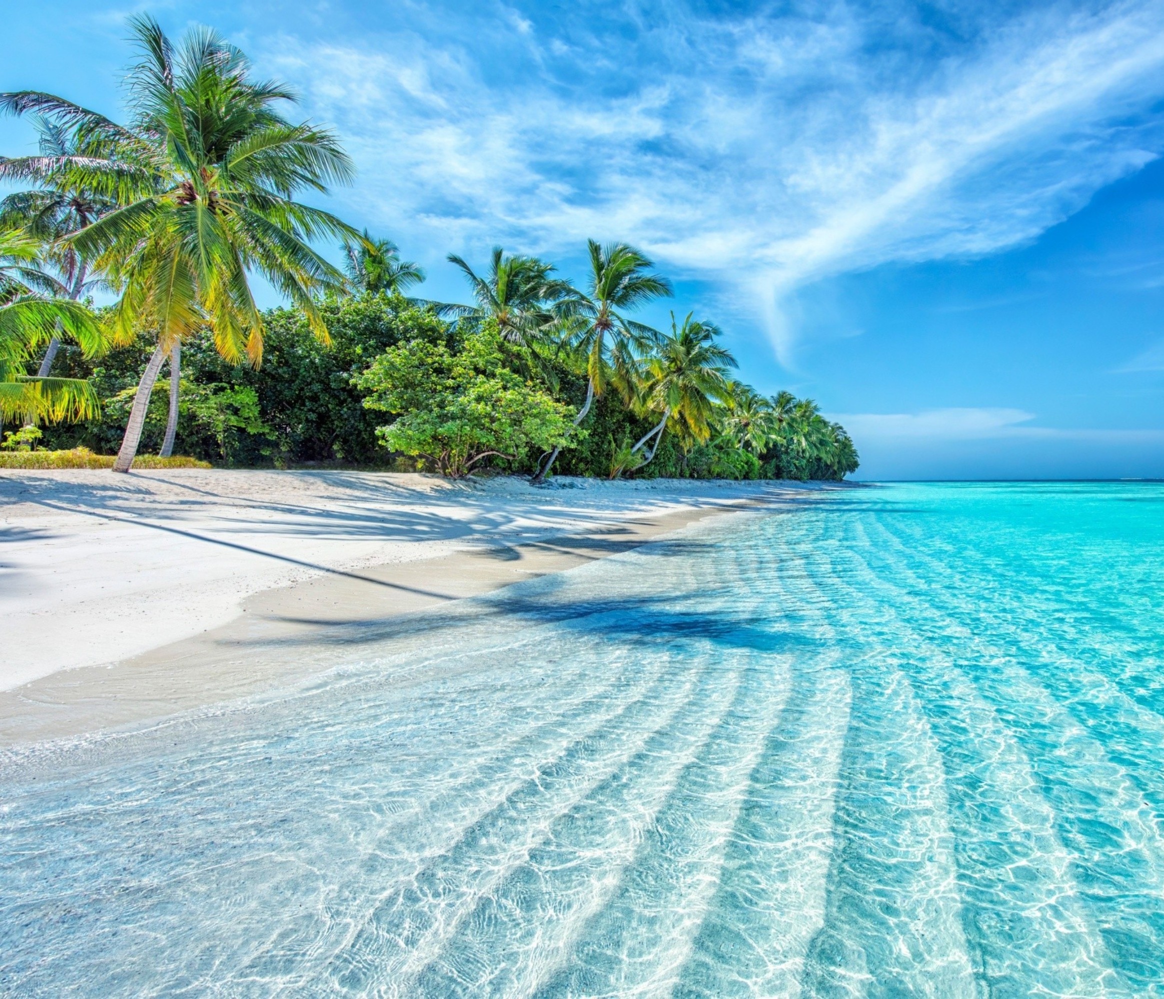 Tropical oceans were once Earth’s oxygen hotspots